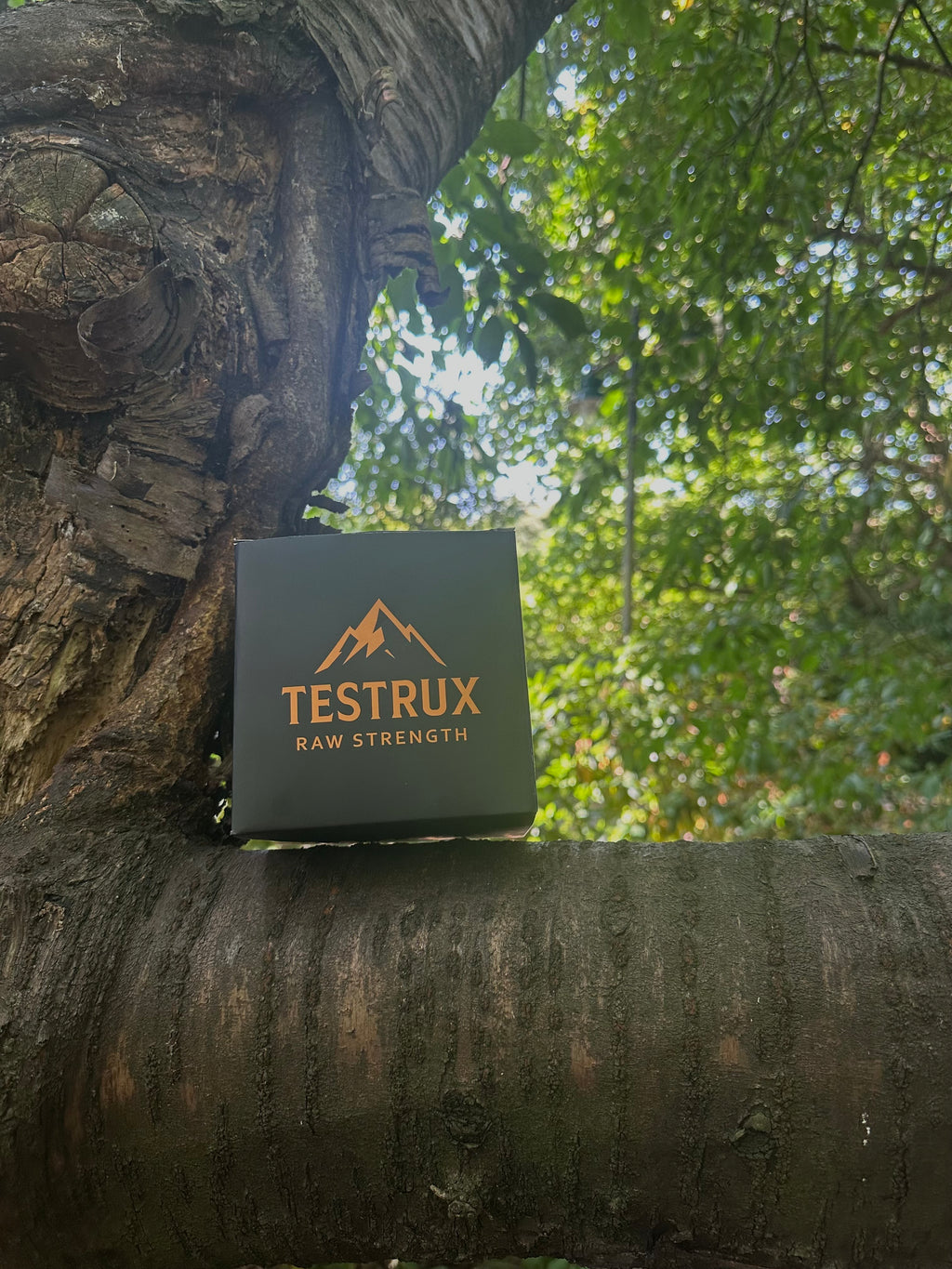 Testrux Shilajit