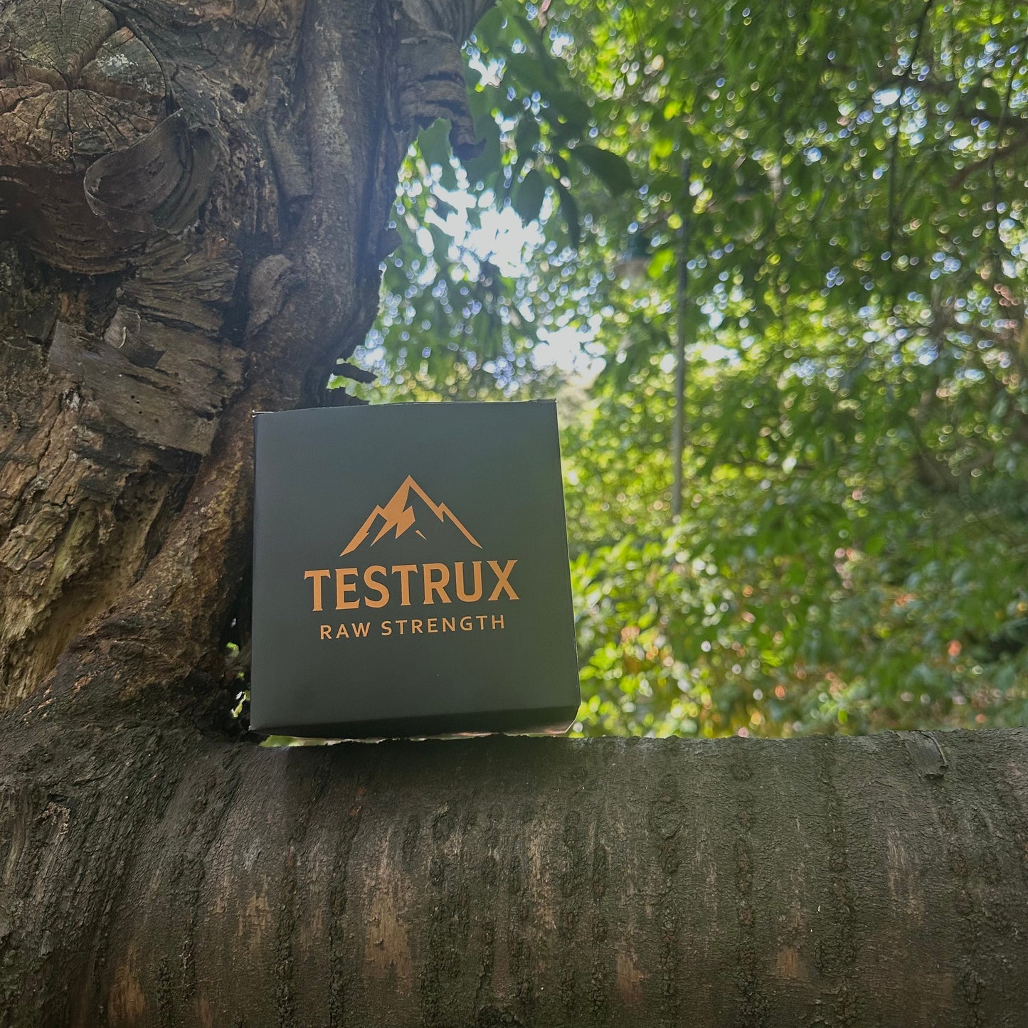 Testrux Shilajit