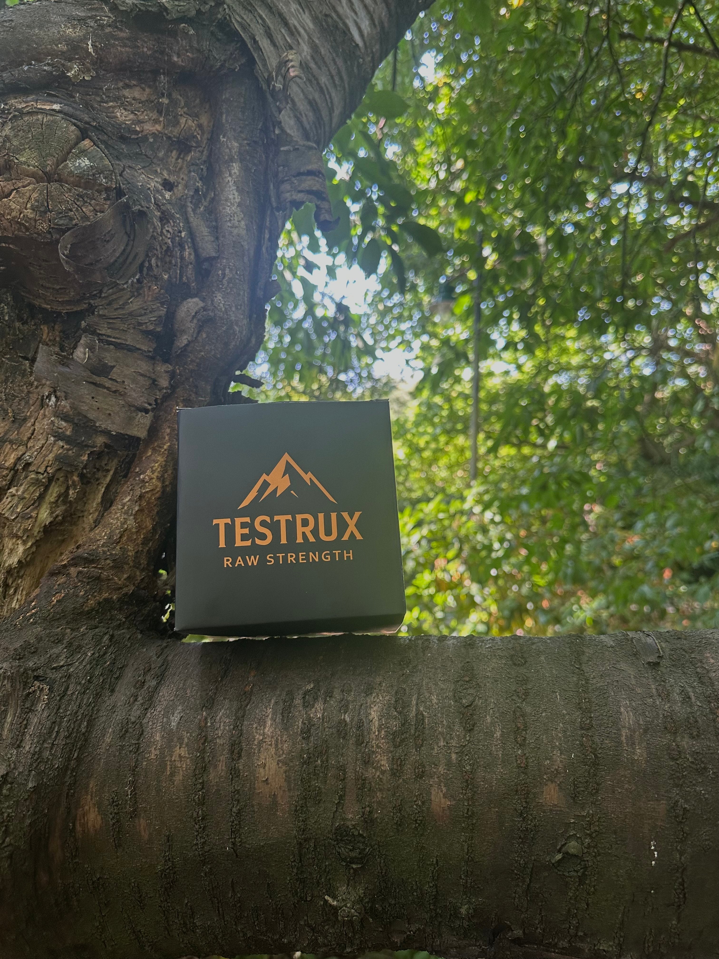 Testrux Shilajit