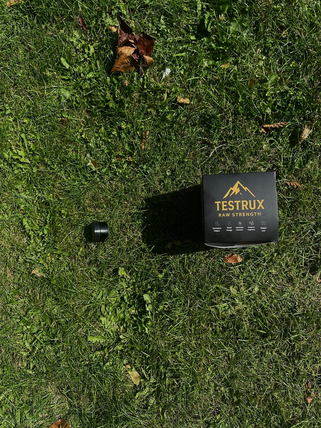 Testrux Shilajit