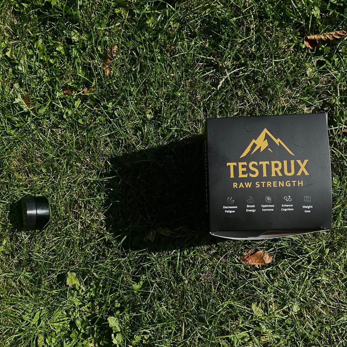 Testrux Shilajit